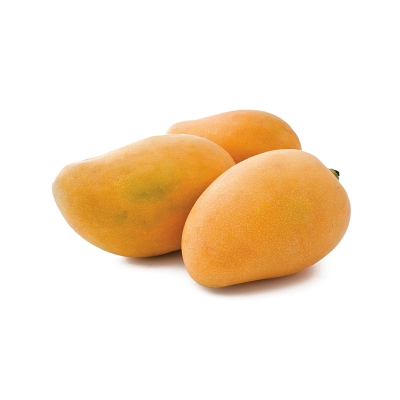 Mango Mingolo, Und