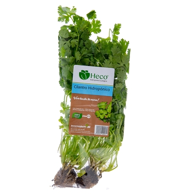 Cilantro Hidroponico,Und