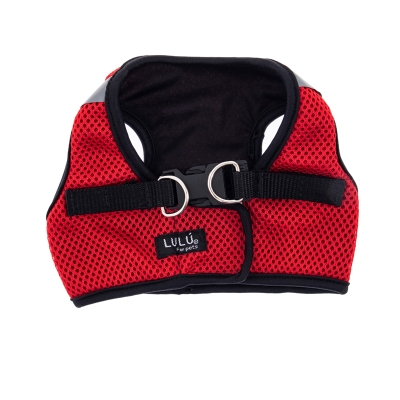 Juguetes y accesorios para perros best sale